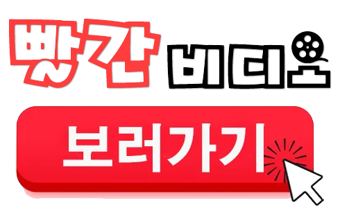 빨간비디오 바로가기