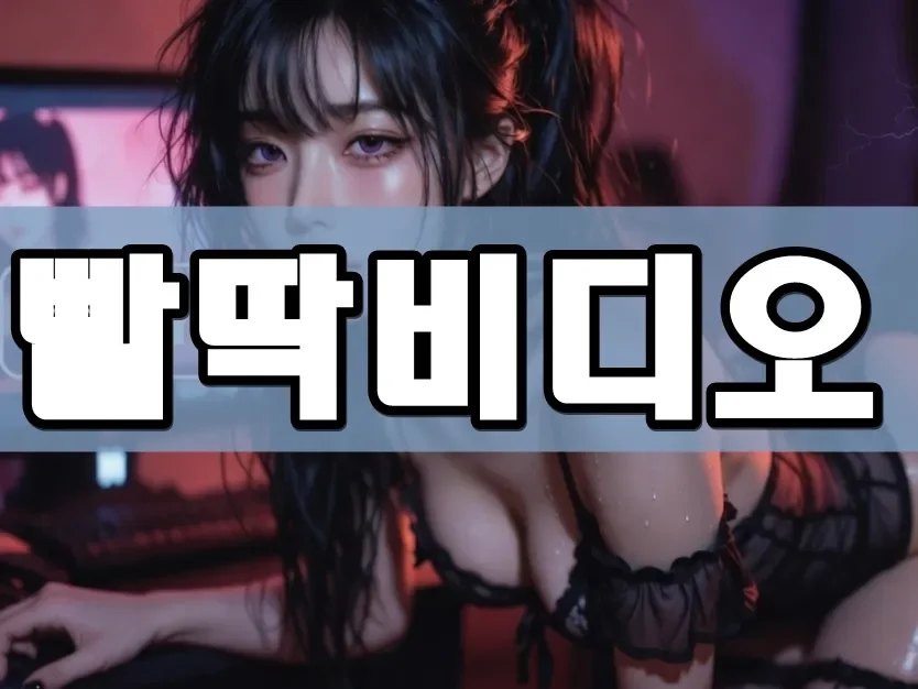 빨딱비디오