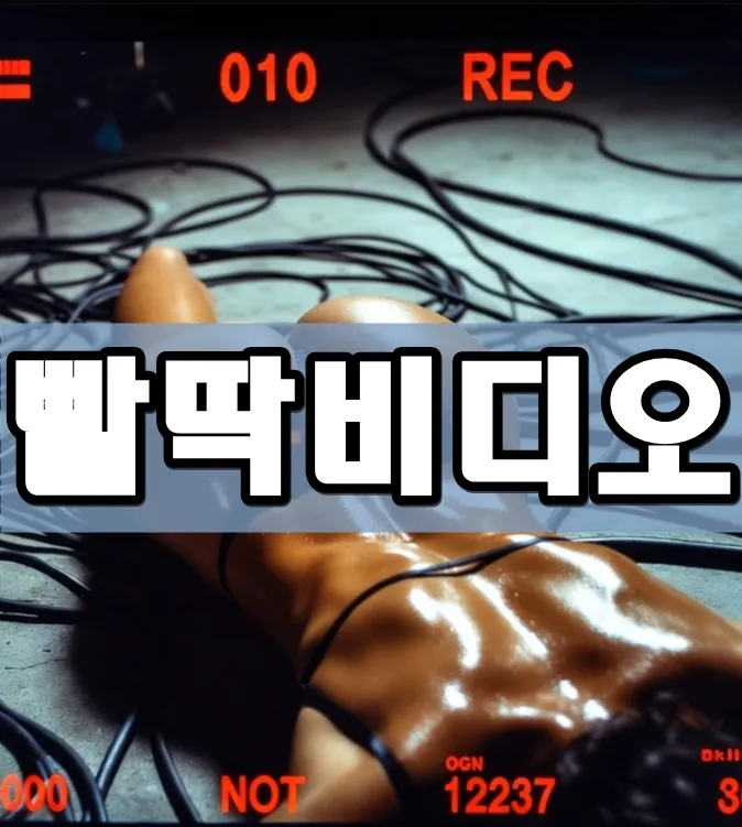 빨딱비디오 표지 빨딱비디오 표지