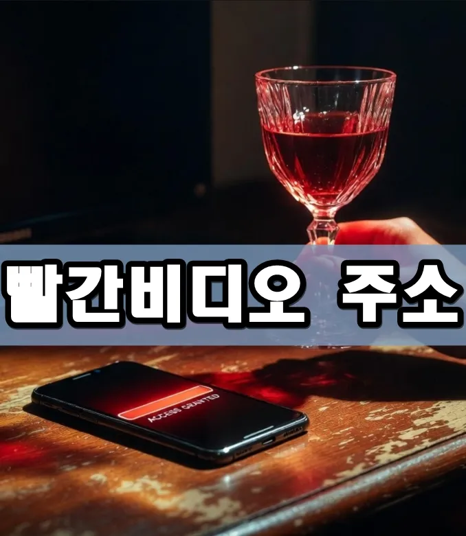 빨간비디오 주소 표지 빨간비디오 주소 표지